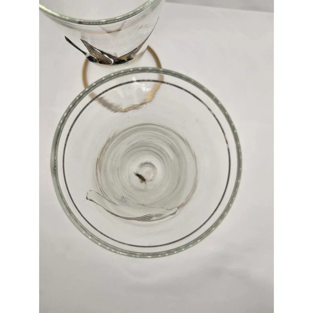 Set of 5 Vintage Wildlife Fowl Birds Pilsner Beer Glasses